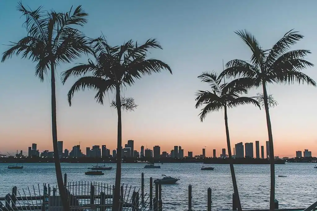 Siluetas de palmeras contra un cielo atardecer con tonos pastel sobre Miami, barcos en el agua y el horizonte urbano al fondo creando una escena pacífica